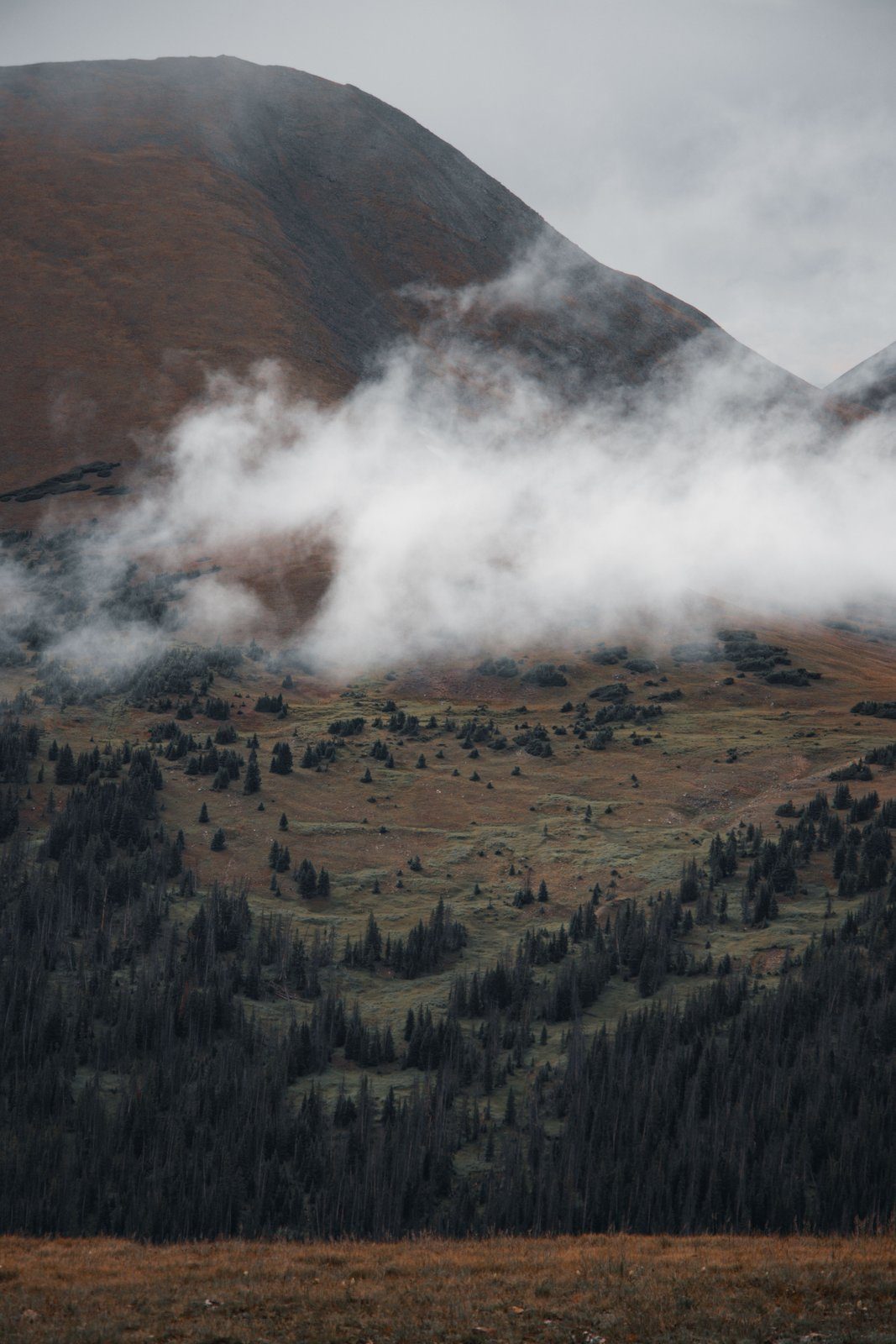 Appalachian Trail ridge
