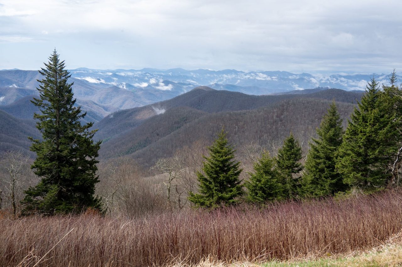 Lower creek and valley terrain
