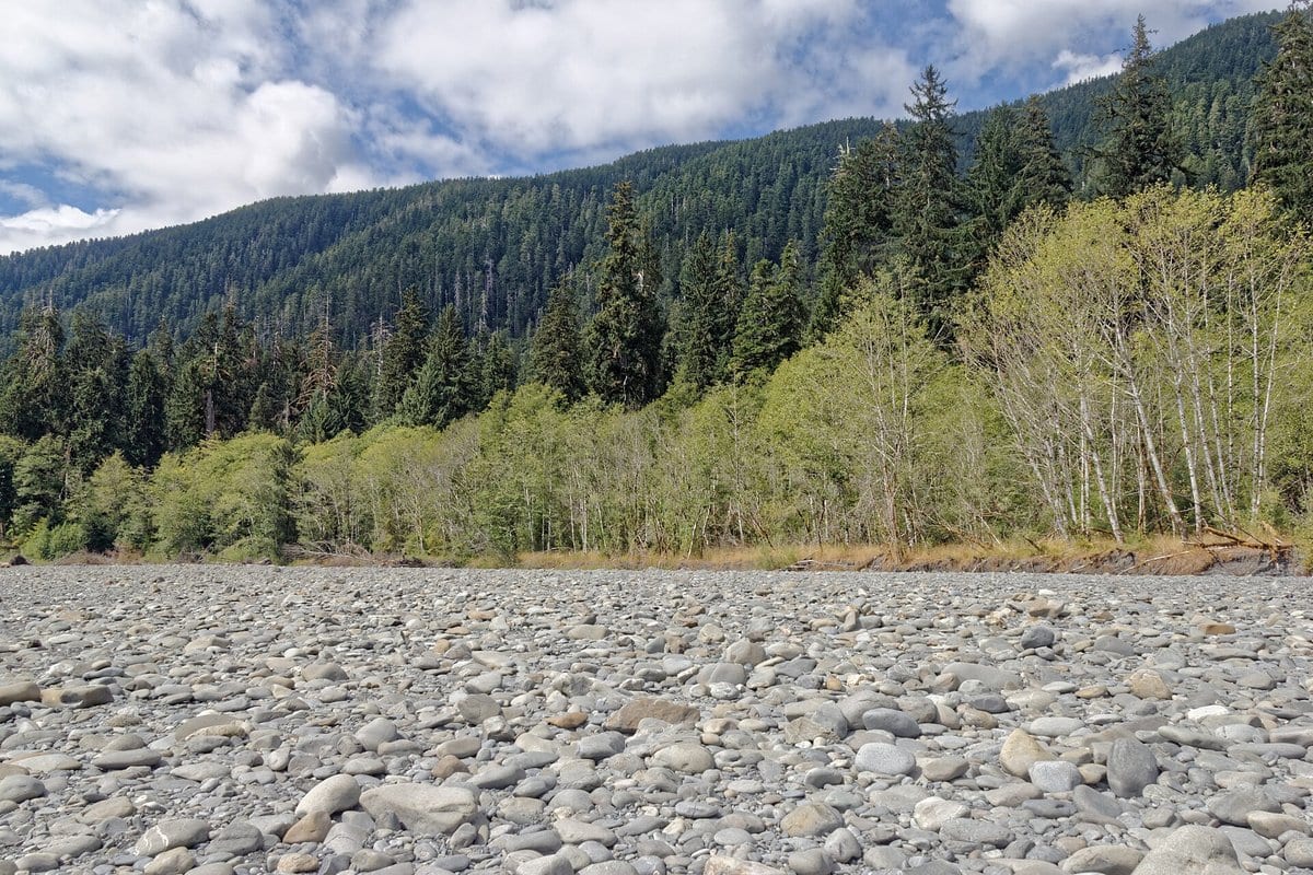 Upper Hoh River Trail on the authentic approach toward Glacier Meadows below the Mount Olympus massif