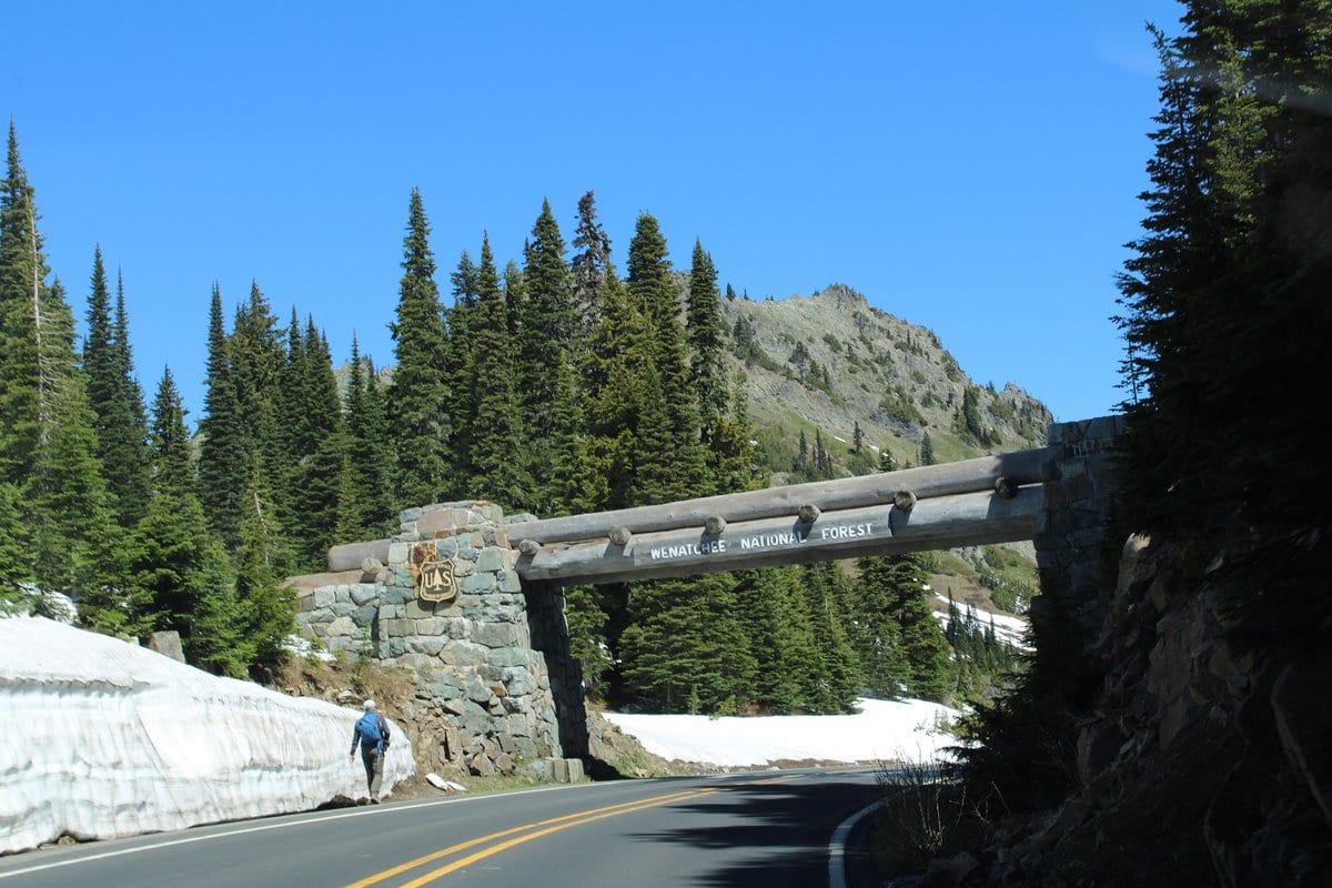 The log bridge that carries the PCT over State Route 410 at Chinook Pass, with snowbanks along the road.