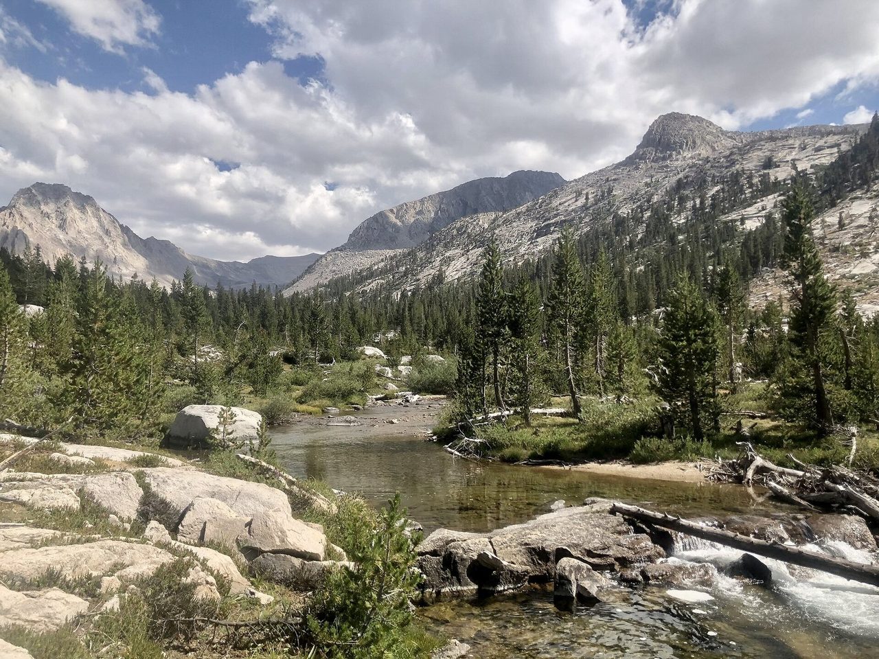 Vidette Meadow