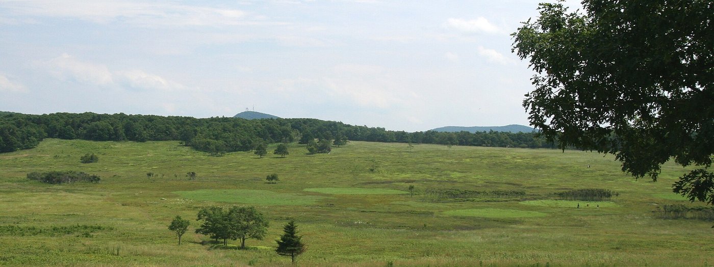 Big Meadows Wayside